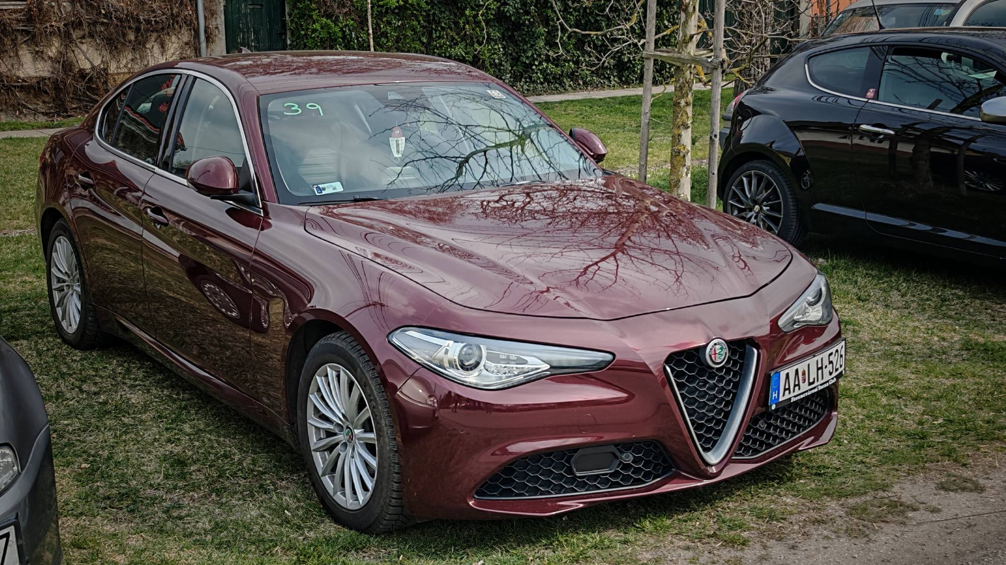 alfamania abda 2026 003