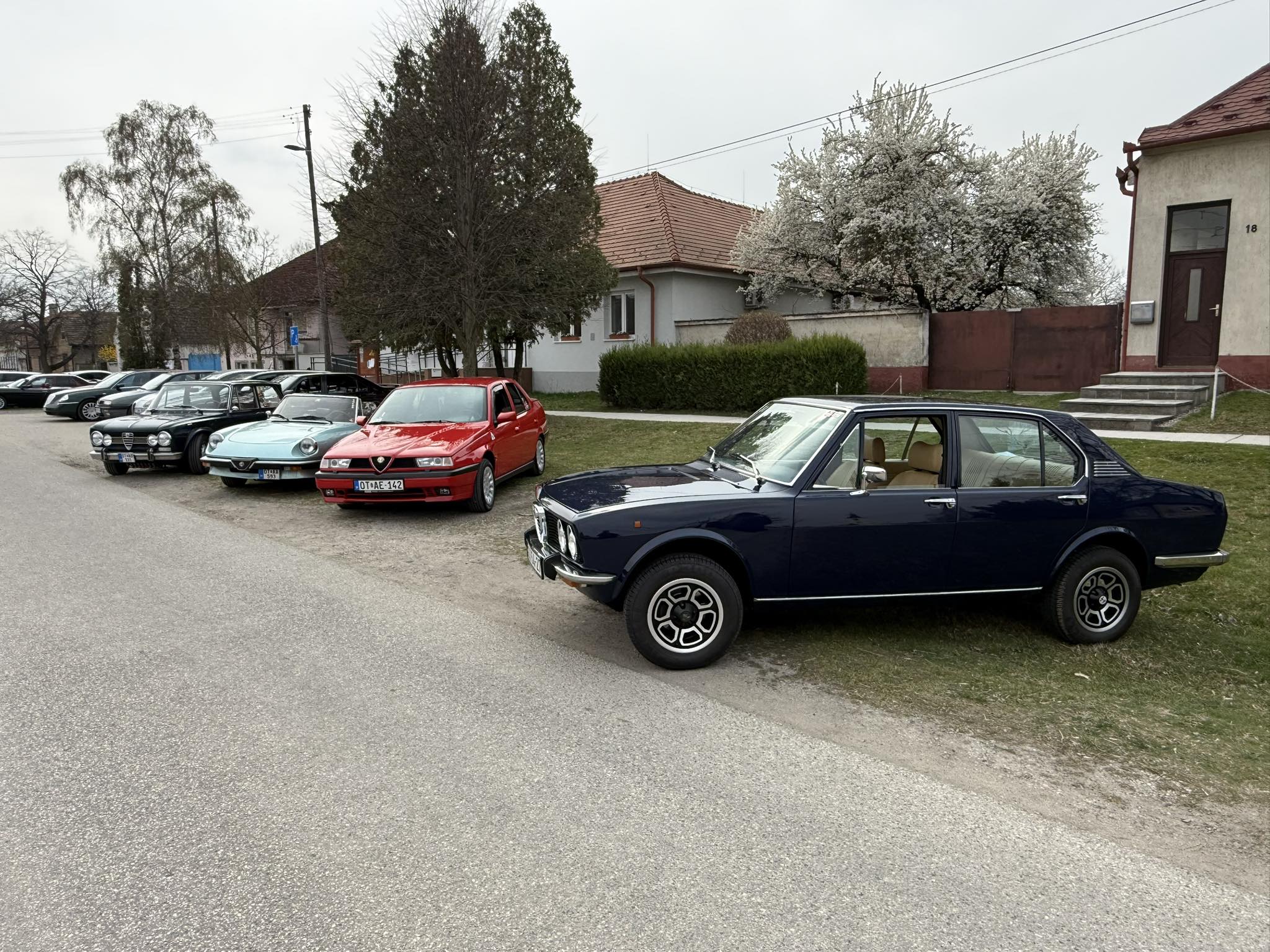 alfamania abda 2026 005