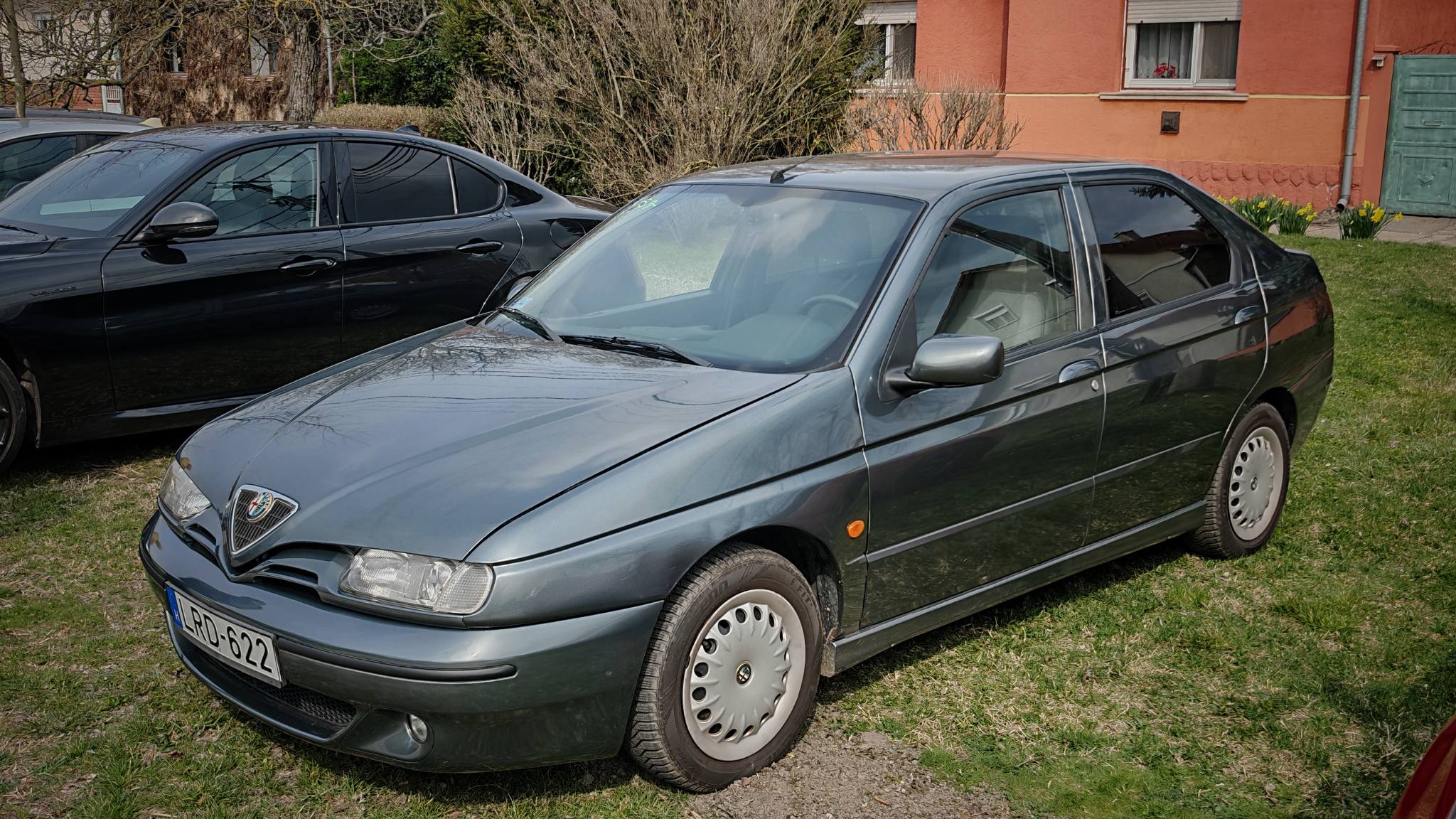 alfamania abda 2026 011