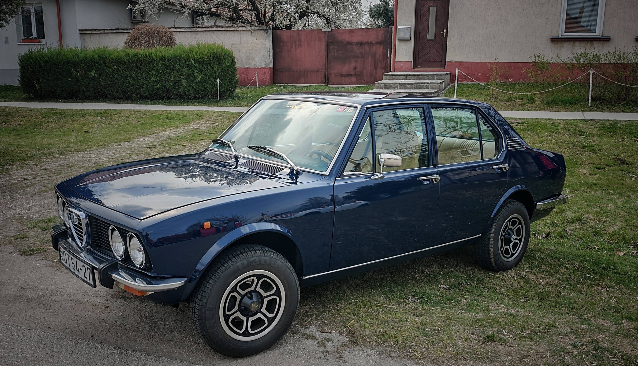 alfamania abda 2026 013