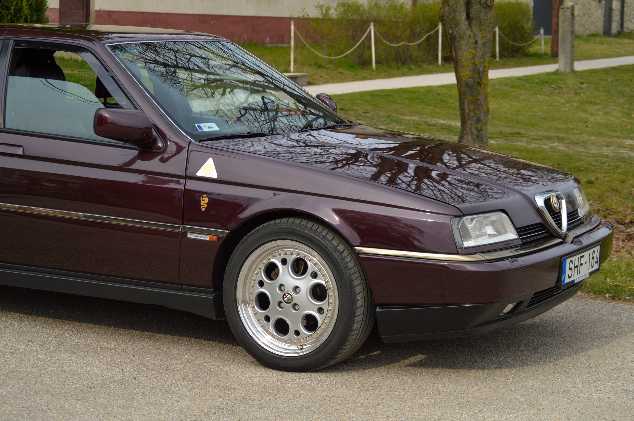 alfamania abda 2026 054