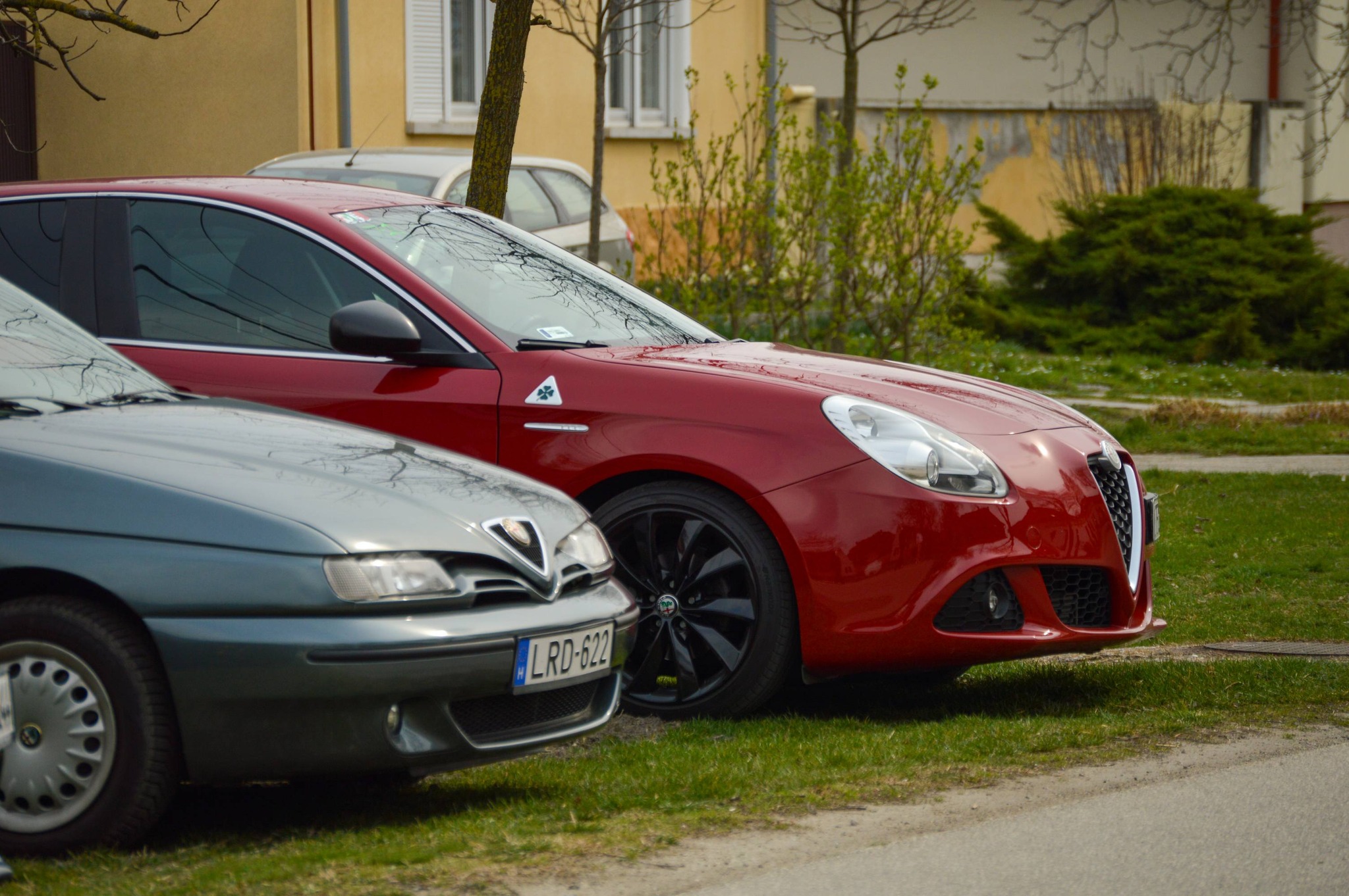 alfamania abda 2026 102