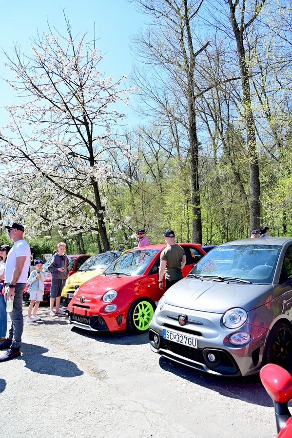 italofest alfamania 2026 000232