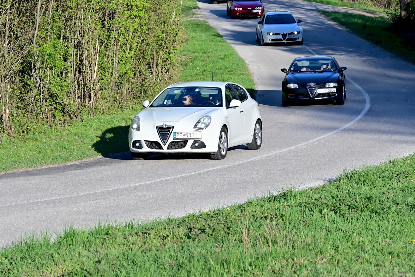 alfamania italofest 2026 0214