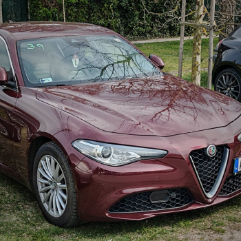 alfamania abda 2026 003