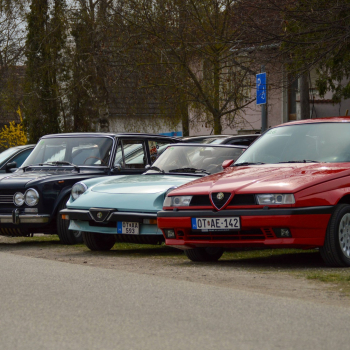 alfamania abda 2026 094