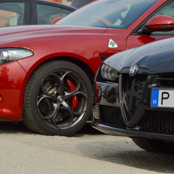 alfamania abda 2026 098