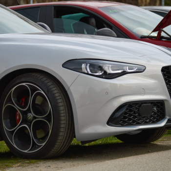 alfamania abda 2026 115