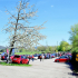 italofest alfamania 2026 000069