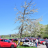 italofest alfamania 2026 000321